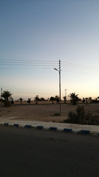 مشاركاتي في أنت الراصد