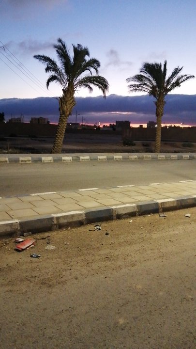 مشاركاتي في أنت الراصد