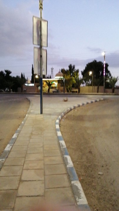 مشاركاتي في أنت الراصد