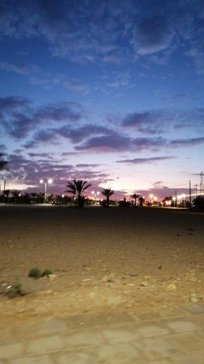 مشاركاتي في أنت الراصد