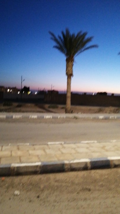 مشاركاتي في أنت الراصد