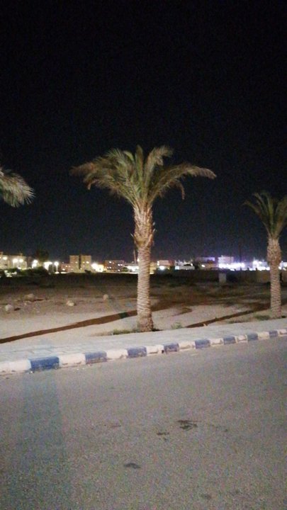 مشاركاتي في أنت الراصد