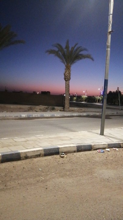 مشاركاتي في أنت الراصد