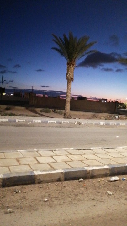 مشاركاتي في أنت الراصد