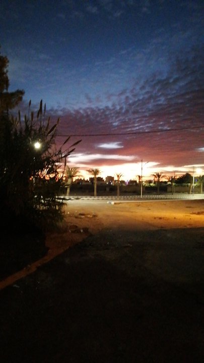 مشاركاتي في أنت الراصد