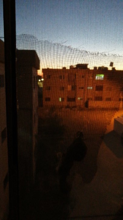 مشاركاتي في أنت الراصد