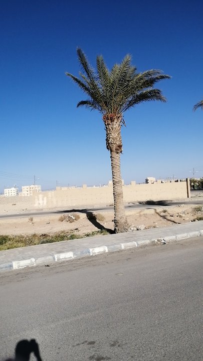 My Crowdsourcing Posts