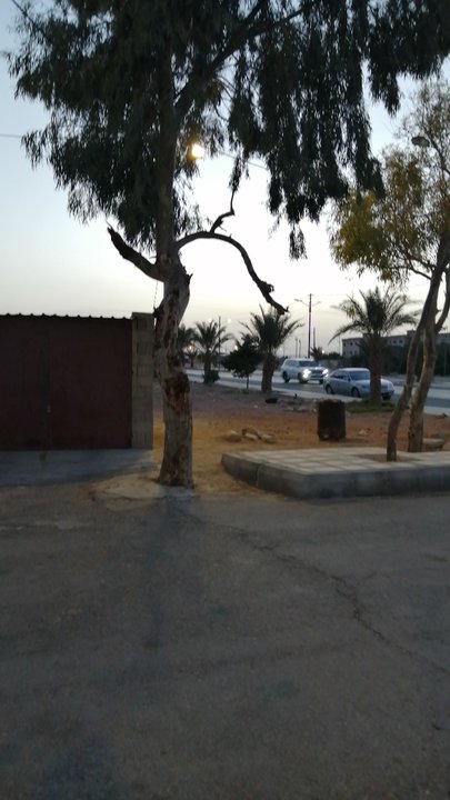 Mes publications Crowdsourcing