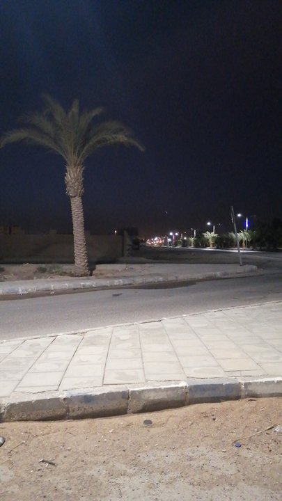 مشاركاتي في أنت الراصد