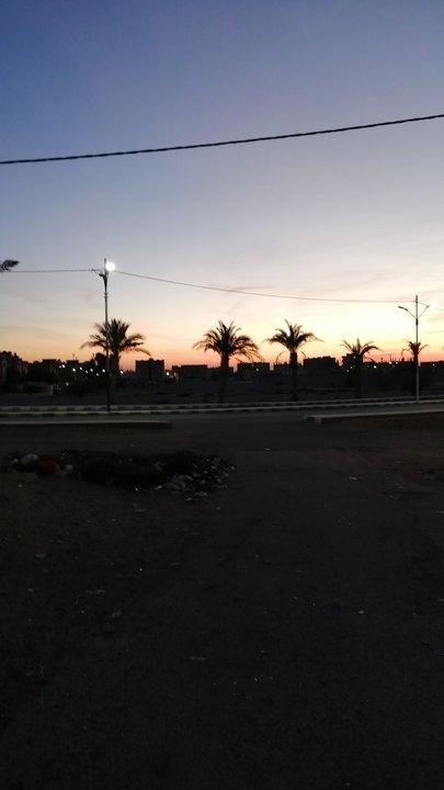 مشاركاتي في أنت الراصد