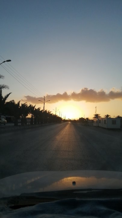 مشاركاتي في أنت الراصد