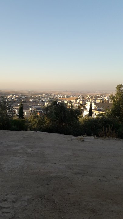 مشاركاتي في أنت الراصد