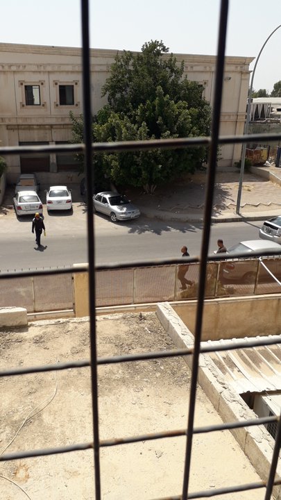 مشاركاتي في أنت الراصد