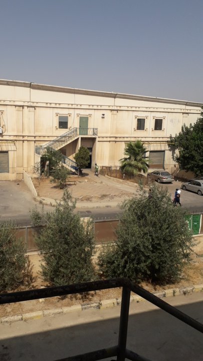 مشاركاتي في أنت الراصد