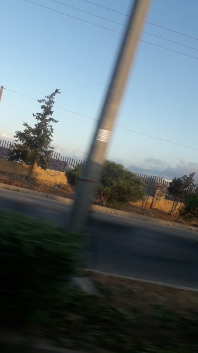 مشاركاتي في أنت الراصد