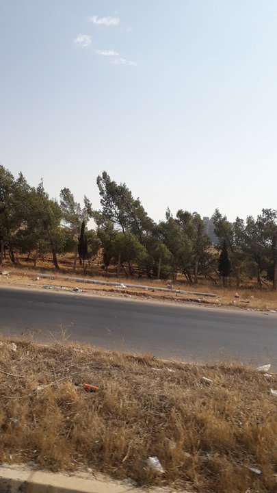 مشاركاتي في أنت الراصد