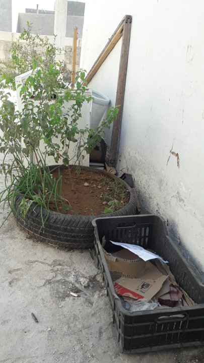 مشاركاتي في أنت الراصد