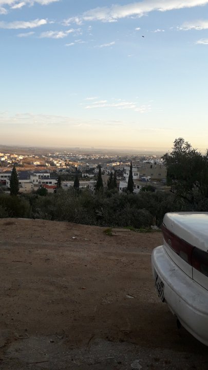 مشاركاتي في أنت الراصد