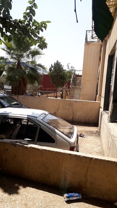 مشاركاتي في أنت الراصد