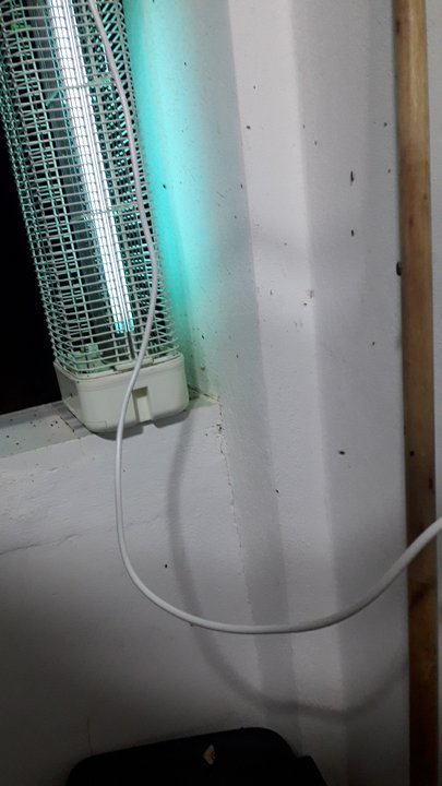 مشاركاتي في أنت الراصد