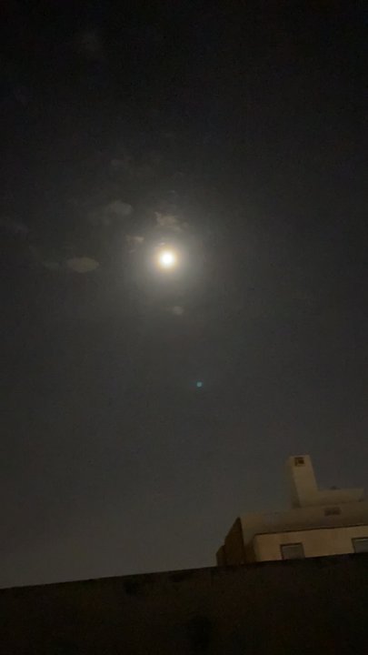 مشاركاتي في أنت الراصد