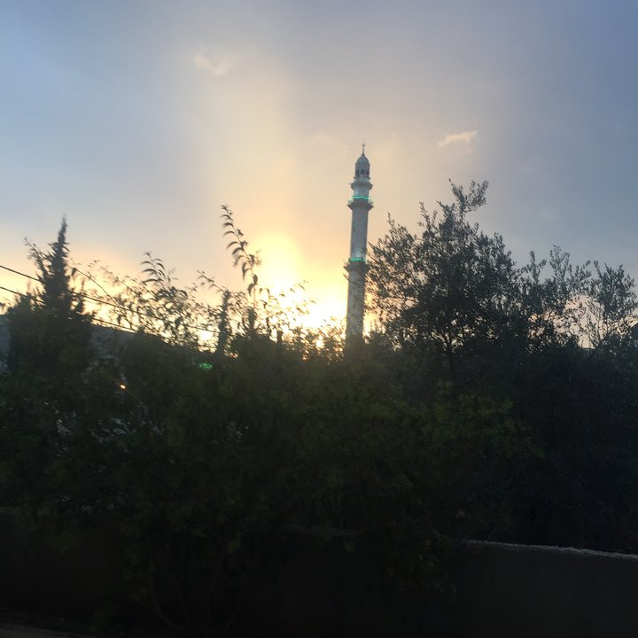 مشاركاتي في أنت الراصد