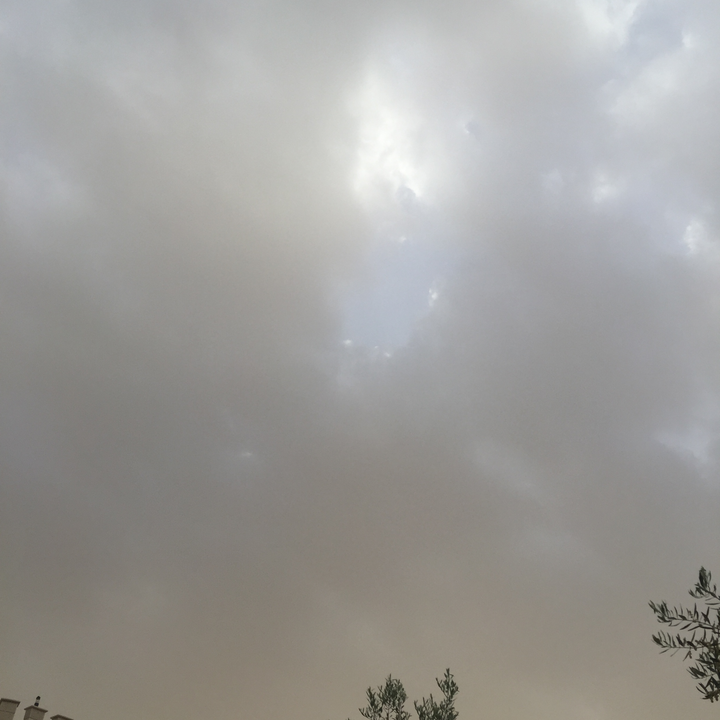 مشاركاتي في أنت الراصد