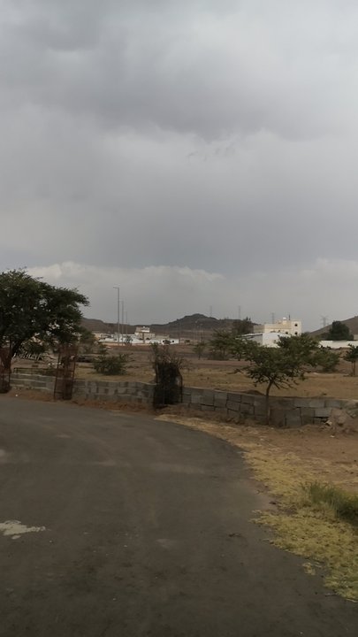 مشاركاتي في أنت الراصد