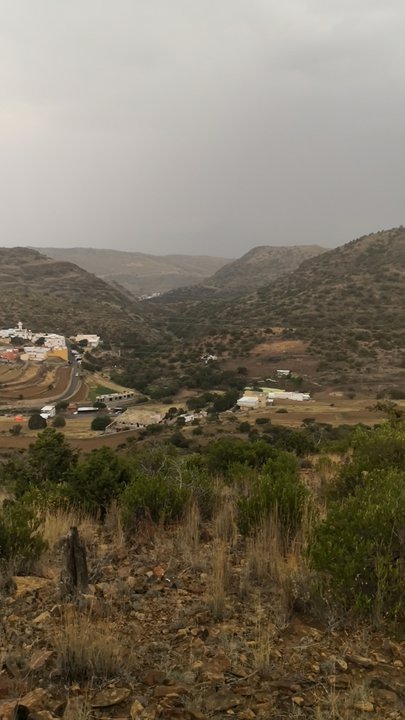 مشاركاتي في أنت الراصد