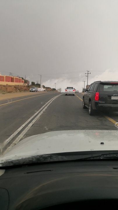 مشاركاتي في أنت الراصد