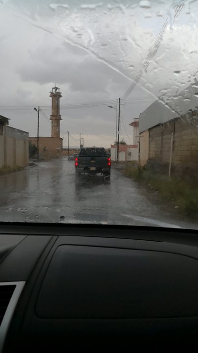 مشاركاتي في أنت الراصد