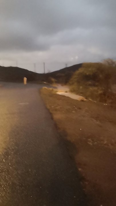 مشاركاتي في أنت الراصد