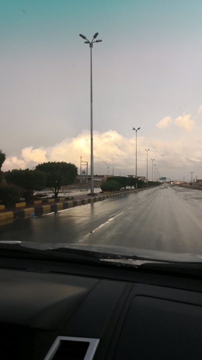 مشاركاتي في أنت الراصد