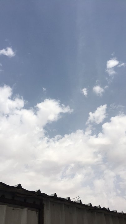 مشاركاتي في أنت الراصد