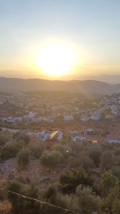 مشاركاتي في أنت الراصد