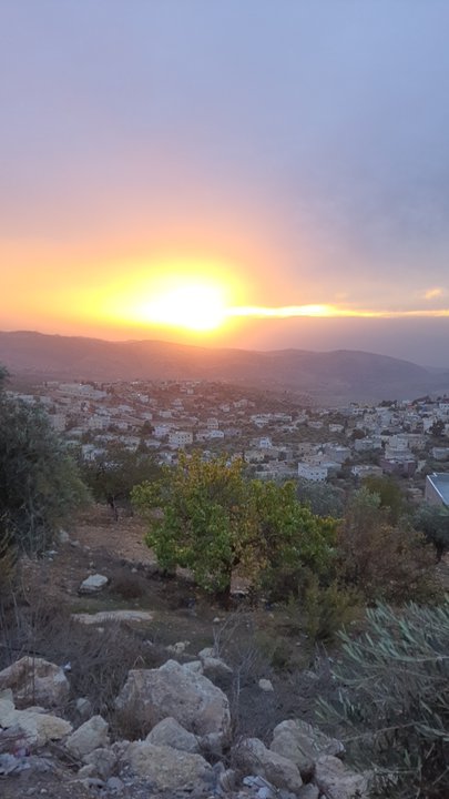 مشاركاتي في أنت الراصد