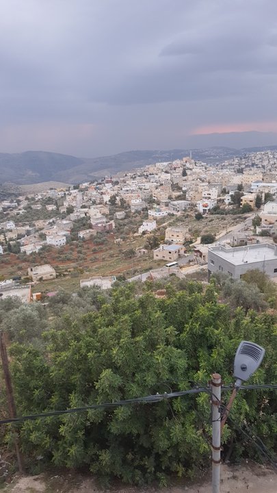 مشاركاتي في أنت الراصد