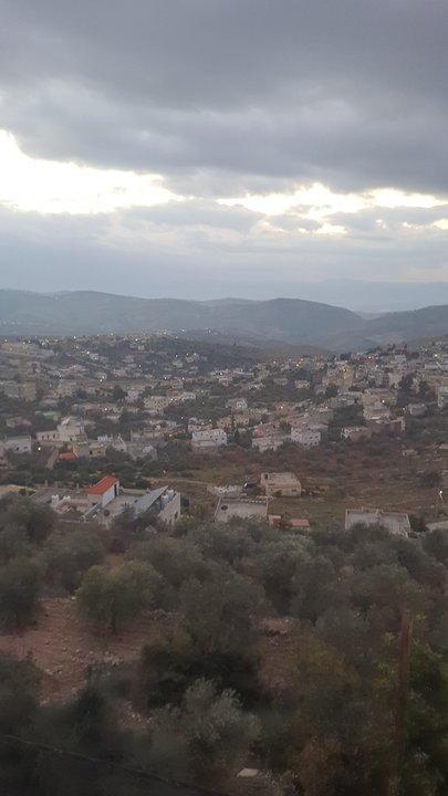 مشاركاتي في أنت الراصد