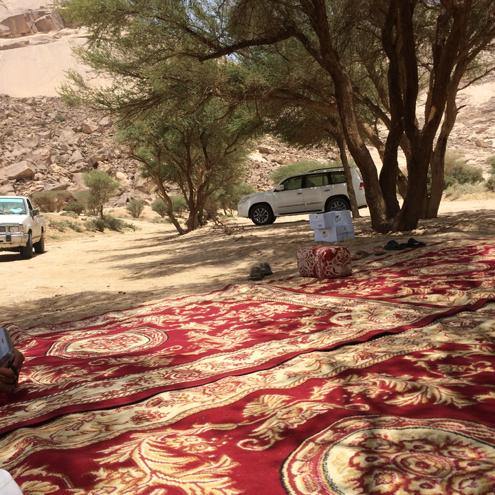 مشاركاتي في أنت الراصد