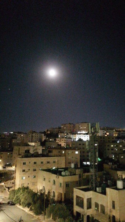 مشاركاتي في أنت الراصد