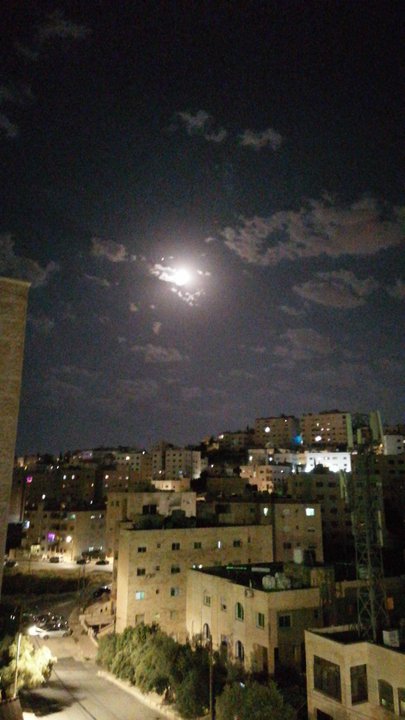 مشاركاتي في أنت الراصد