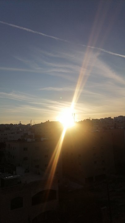 مشاركاتي في أنت الراصد