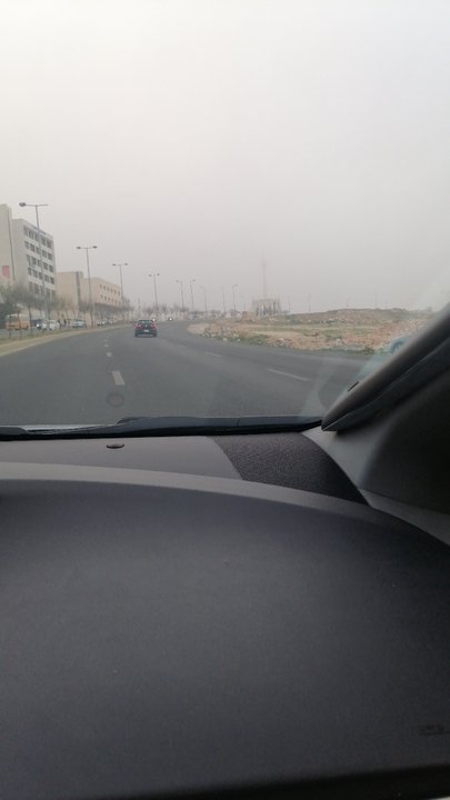 مشاركاتي في أنت الراصد