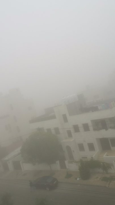 مشاركاتي في أنت الراصد