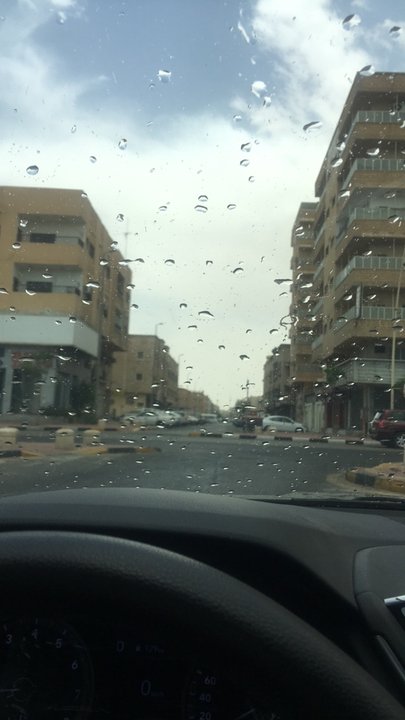 مشاركاتي في أنت الراصد