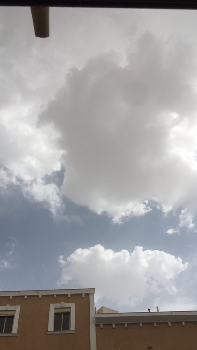 مشاركاتي في أنت الراصد