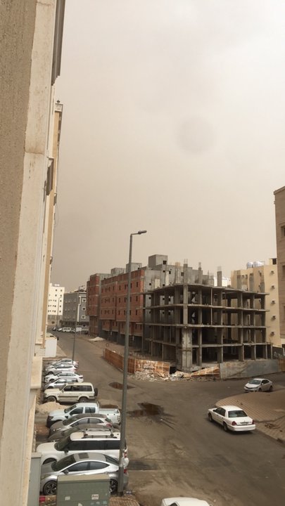 مشاركاتي في أنت الراصد