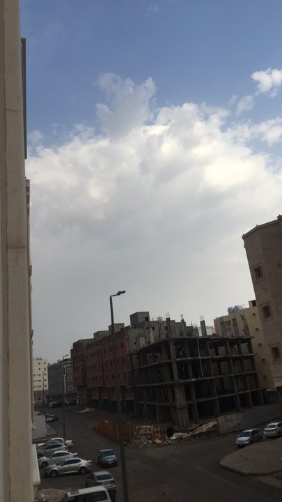 مشاركاتي في أنت الراصد