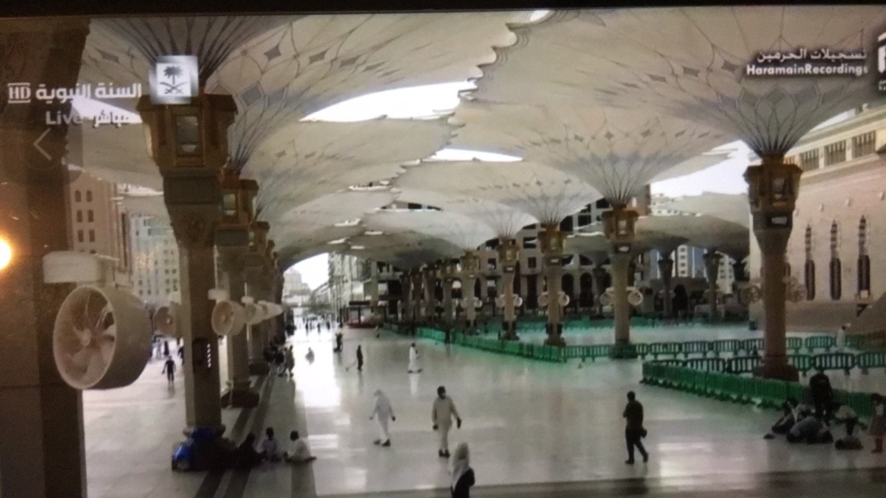 مشاركاتي في أنت الراصد