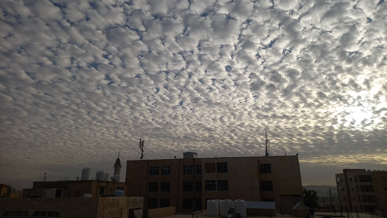 مشاركاتي في أنت الراصد